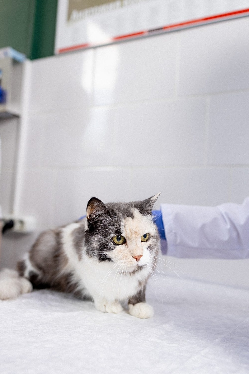 Создать карусель