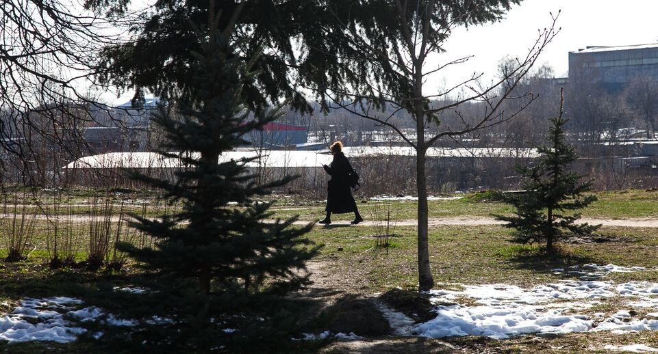    Медиасток.рф