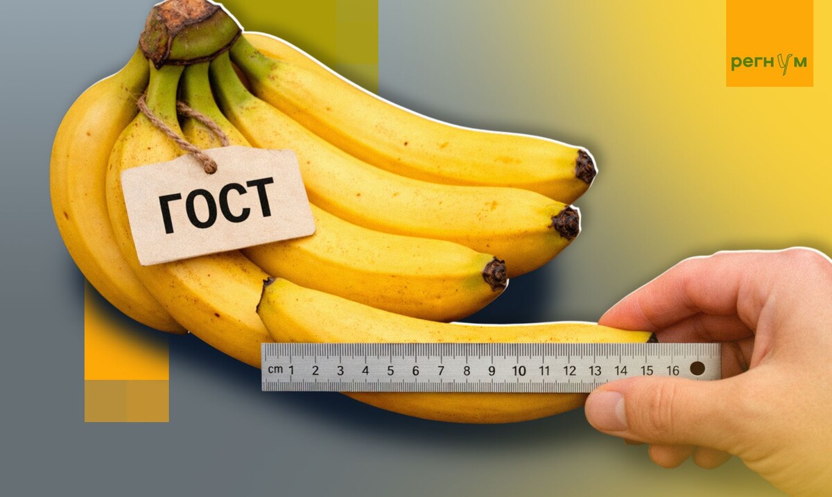     / Источник: Иван Шилов (с) ИА Регнум