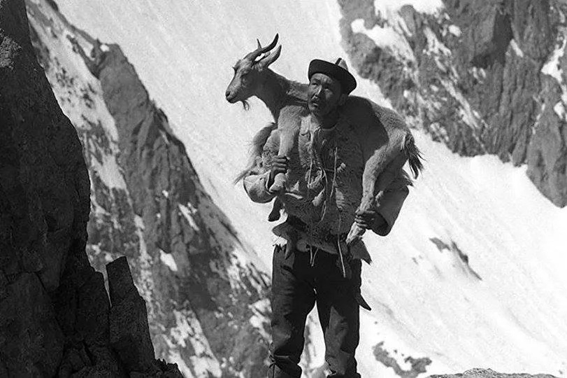    В 1984 году режиссер Толомуш Океев на студии «Киргизфильм» снял фильм «Потомок белого барса» по мотивам эпоса о Кожожаше.