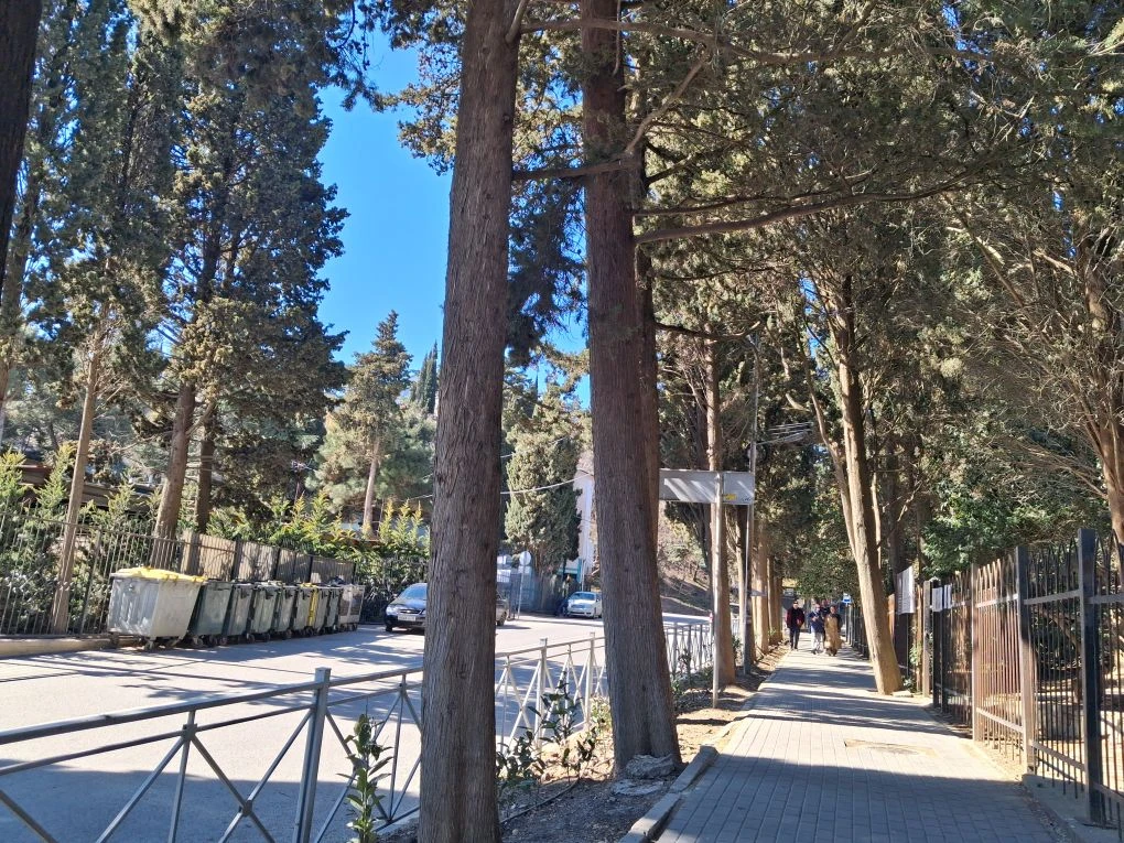 Дорога на Набережную.