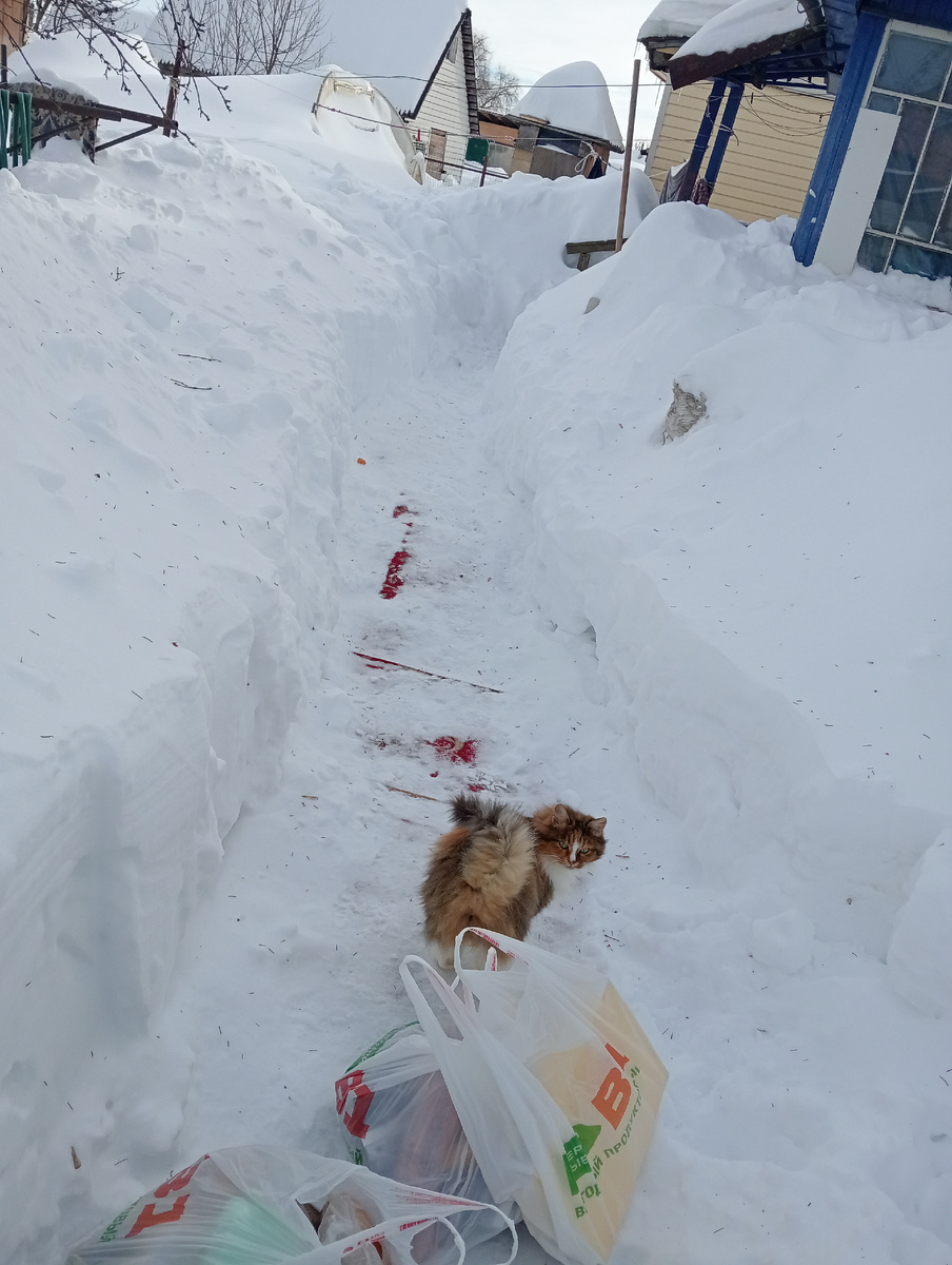 Давай Таня заноси пакеты!