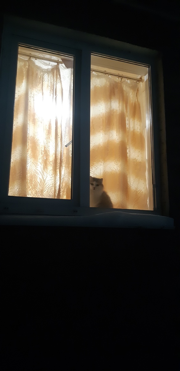 Куда ты, Одисей, от жены и от детей!