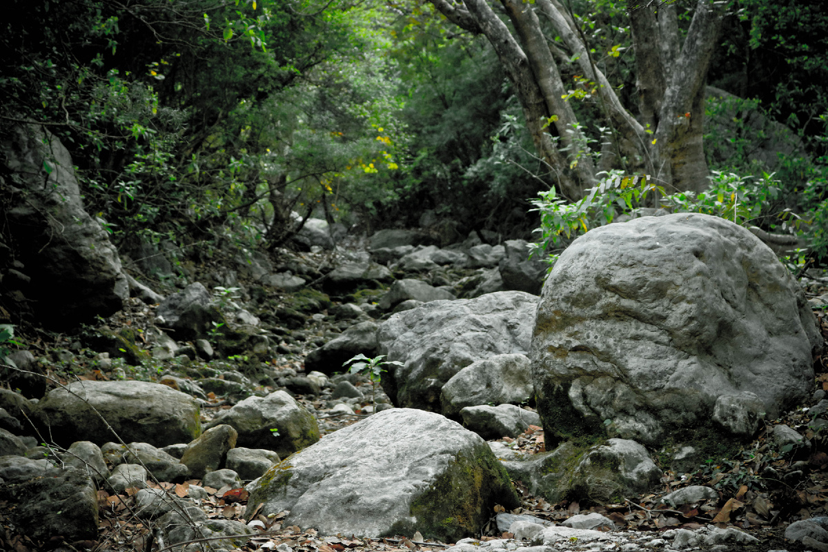 Источник: freepik