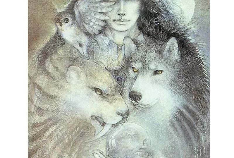 Может ли душа, воплощенная в теле человека, в другой жизни воплотиться животным?