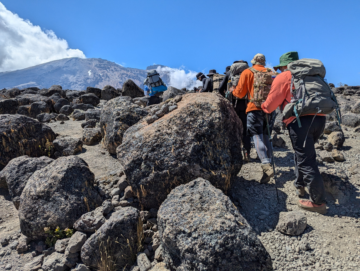 Мы в Африке. На пути к вершине Килиманджаро.