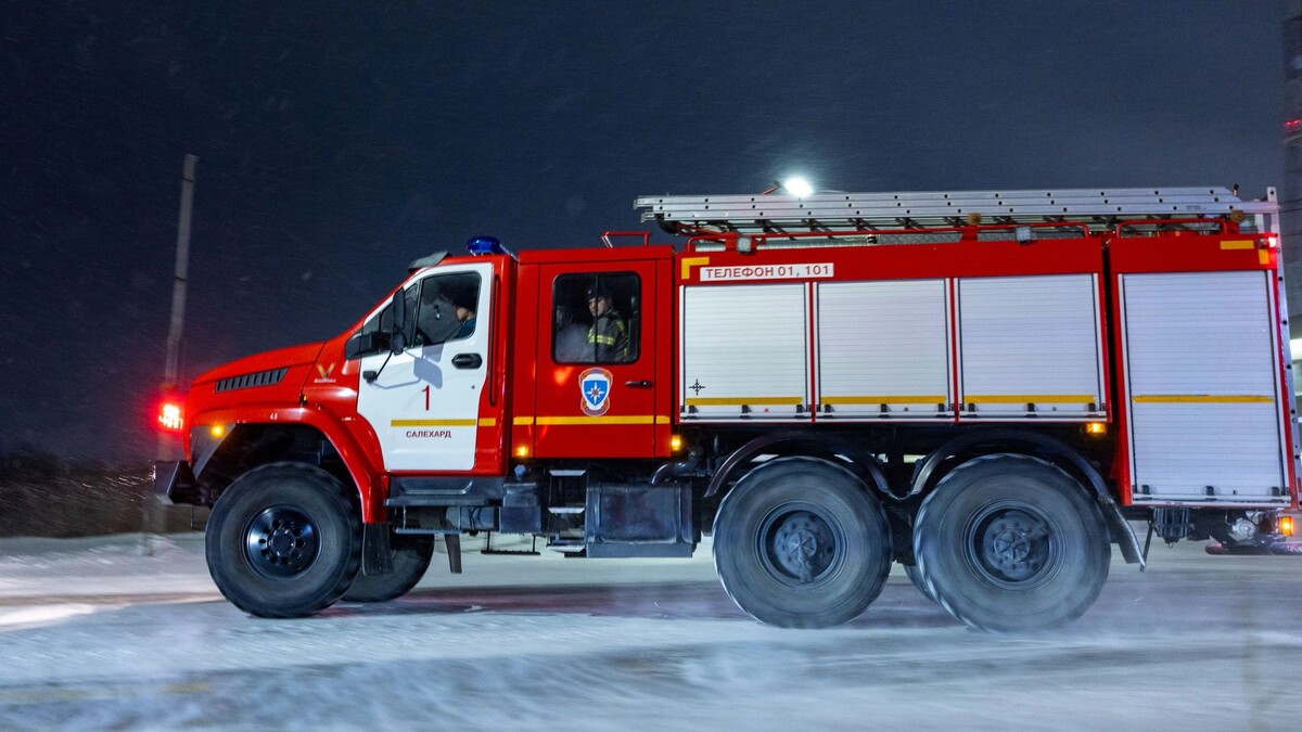    Фото: Федор Воронов / «Ямал-Медиа»