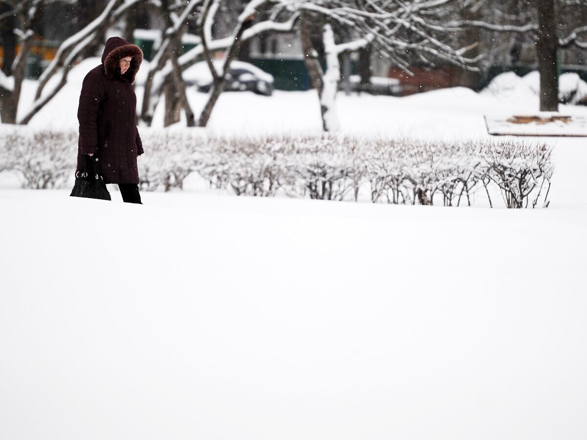    Снегопад в Москве© РИА Новости . Владимир Астапкович