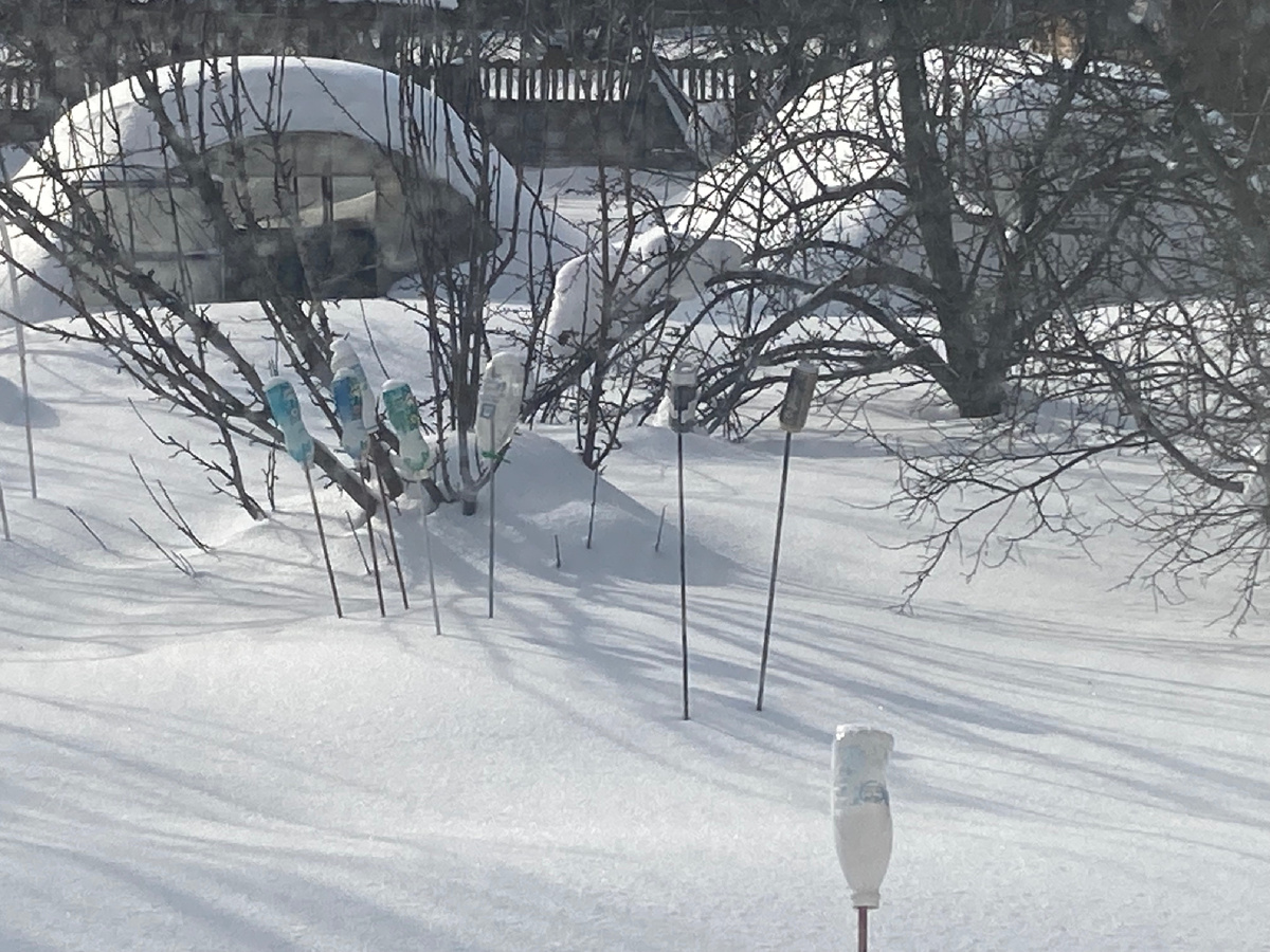 22.02.2026, фото мое