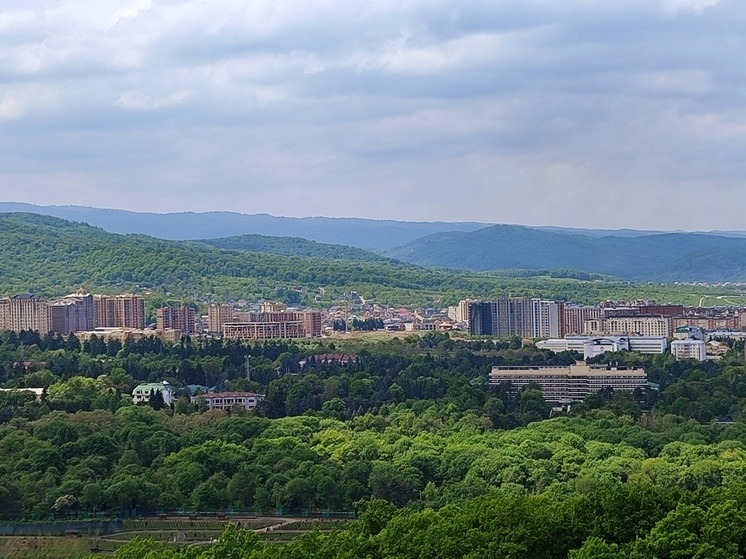     Фото: "МК-Кавказ"