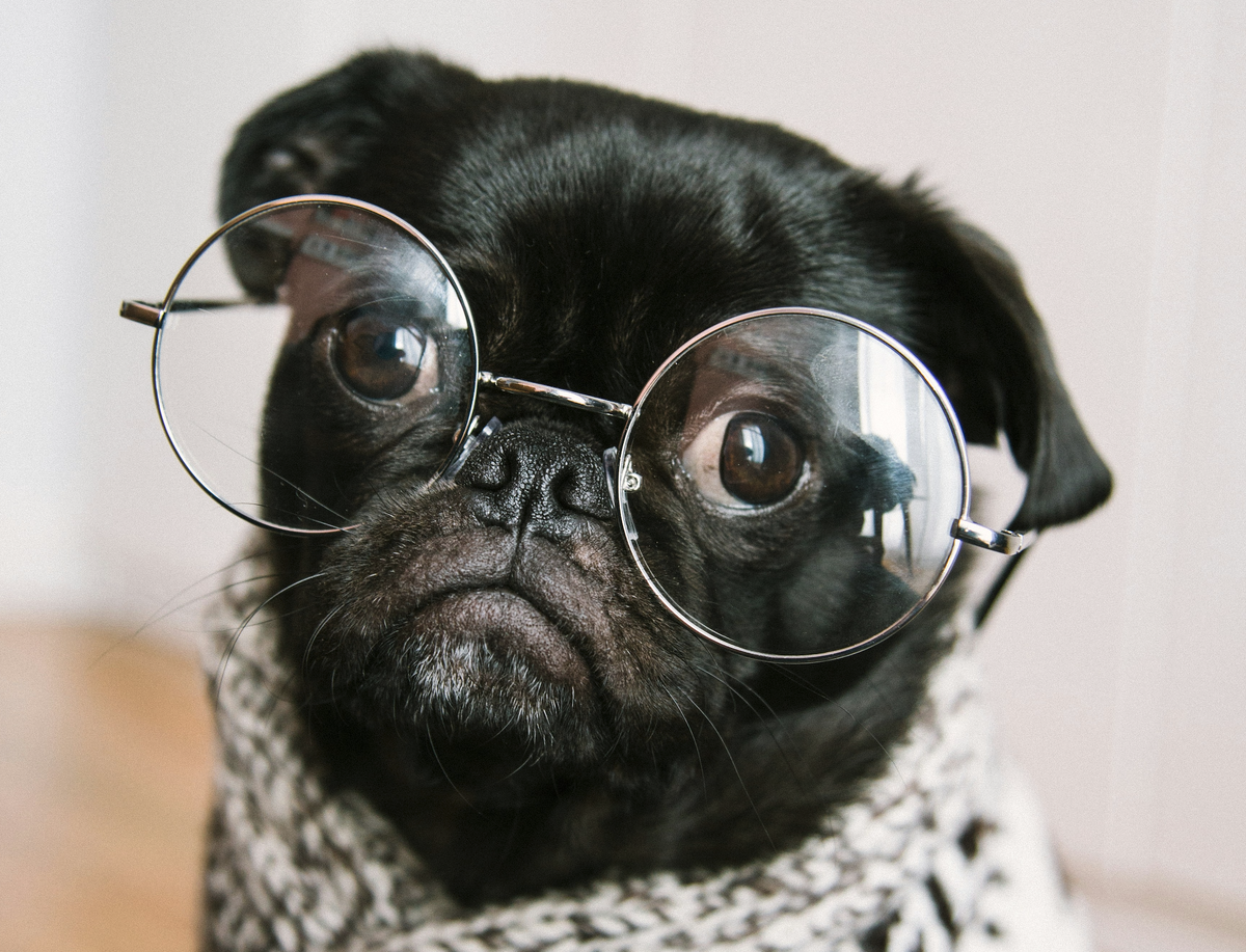 Photo by charlesdeluvio on Unsplash