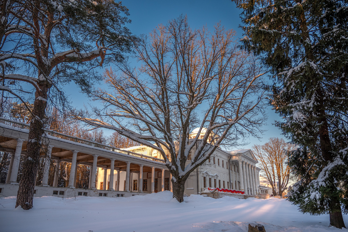 Зимой в остафьево и зимний Карамзинский дуб