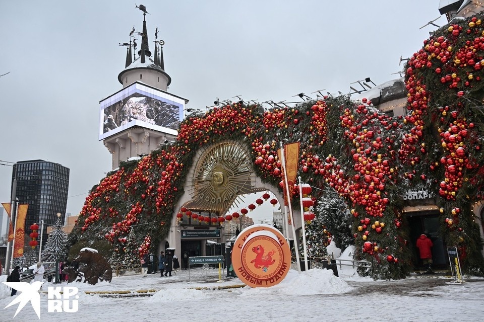   Владимир ВЕЛЕНГУРИН