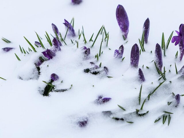    Фото: Москва 24/Лидия Широнина