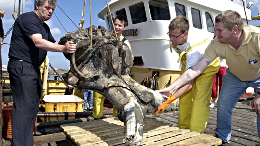 Яндекс картинки