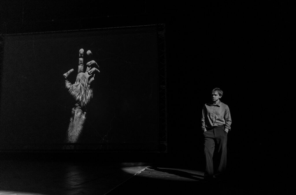    Фото предоставлены пресс-службой фестиваля Источник фото: Театр To Go