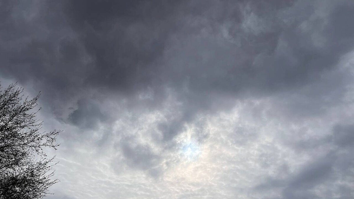    Фото: телеканал «Краснодар»