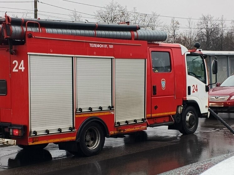     Фото: архив МК в Питере.