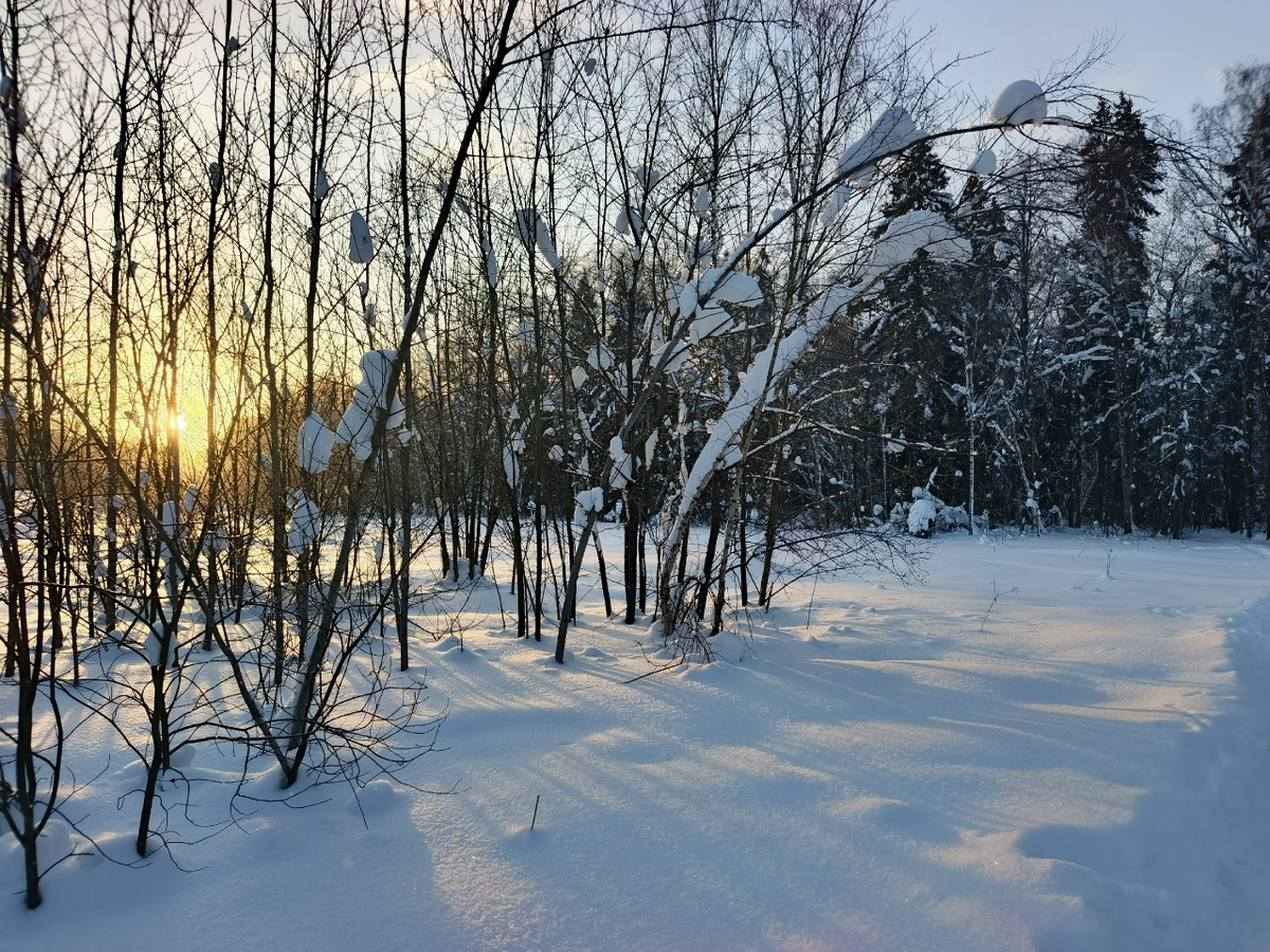 Утром , по дороге на работу.