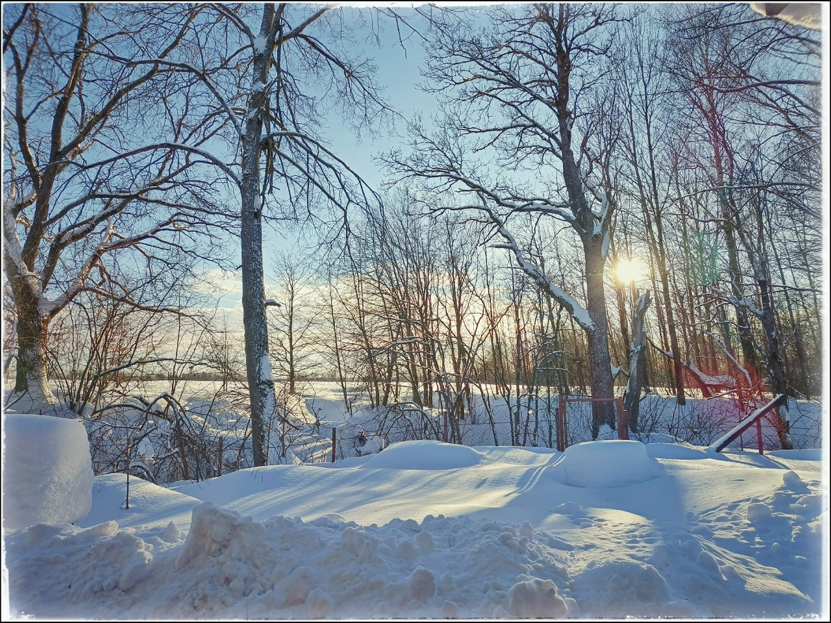 Дача. Вид с веранды.