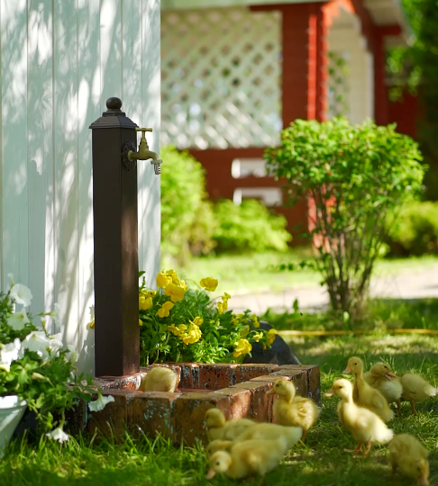 iFONTE дачная сантехника