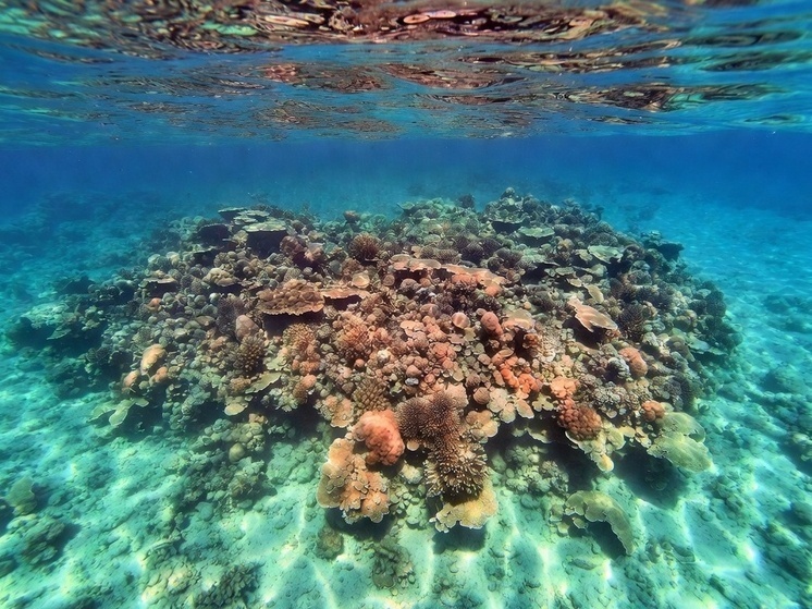     Фото: генерация Grok