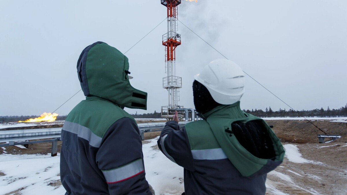    Фото: Slutsky Maksim/Shutterstock/Fotodom