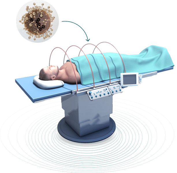 The Sarah Nanotechnology System solution