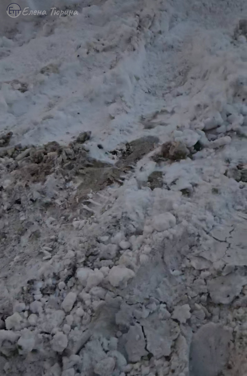 Фото: Елены Тюриной. Море снега. 22 февраля 2026 г.
