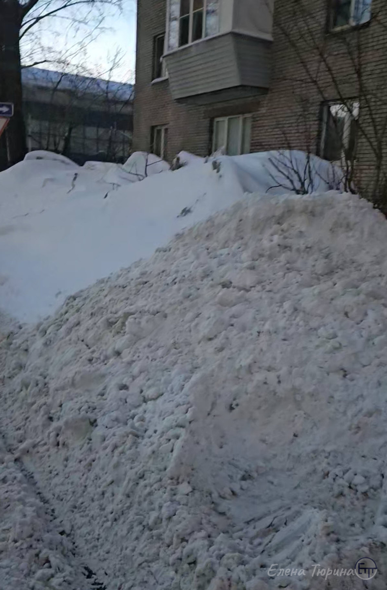 Фото: Елены Тюриной. Горы снега. 22 февраля 2026 г.