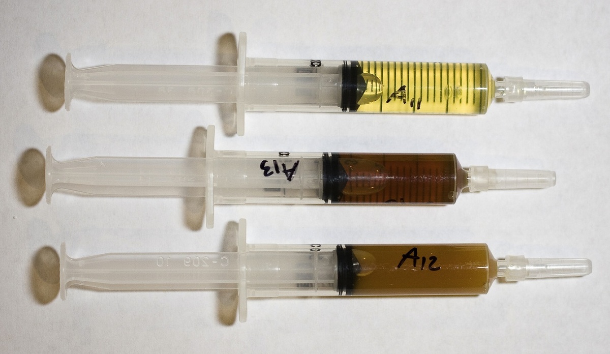 Различия в общем внешнем виде мочи шиншилл. Источник: vetexotic.theclinics.com/article/S1094-9194(20)30005-0/abstract