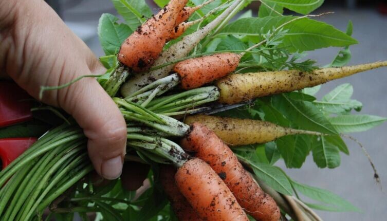    Что может ранить ребенка? Фото: по лицензии CC0 Pxhere.com