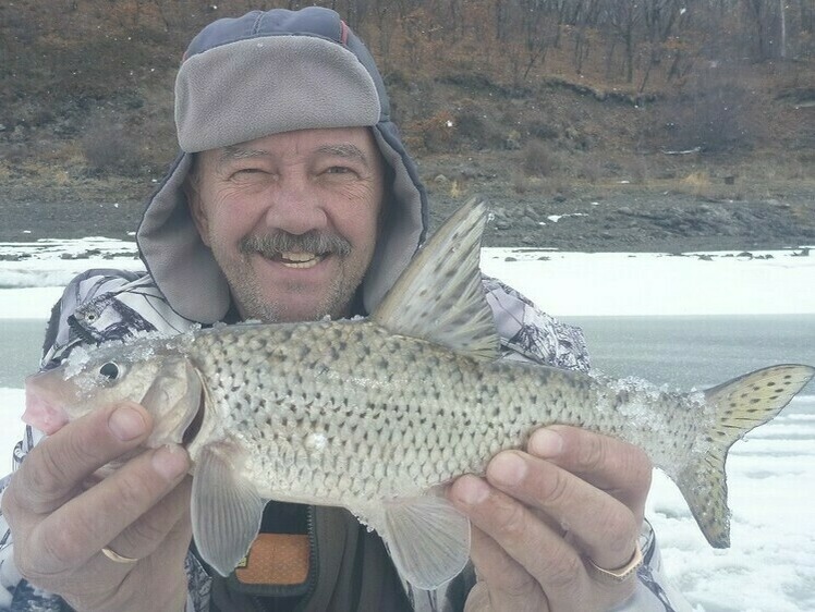     Амурские кони в год Лошади - весёлый прилов! Фото: Смирнова Александра.