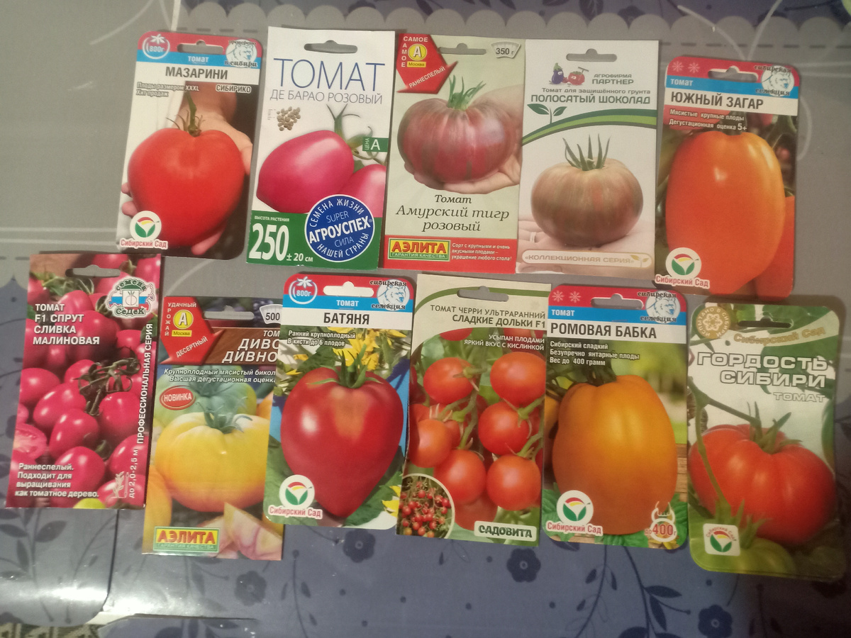 Сорта что посеяла в этом сезоне.