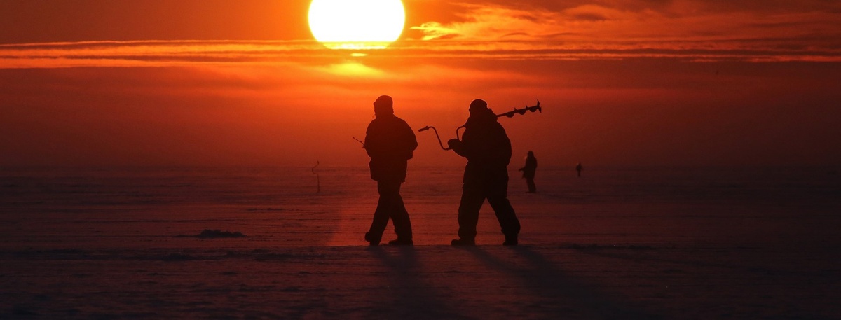    Автор фото: Пётр Ковалёв