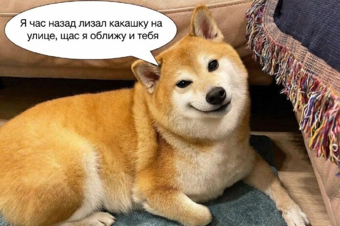    В 2029 году домашние животные могут стать источником опасности, классифицируясь как биологическое оружие категории B. novostix