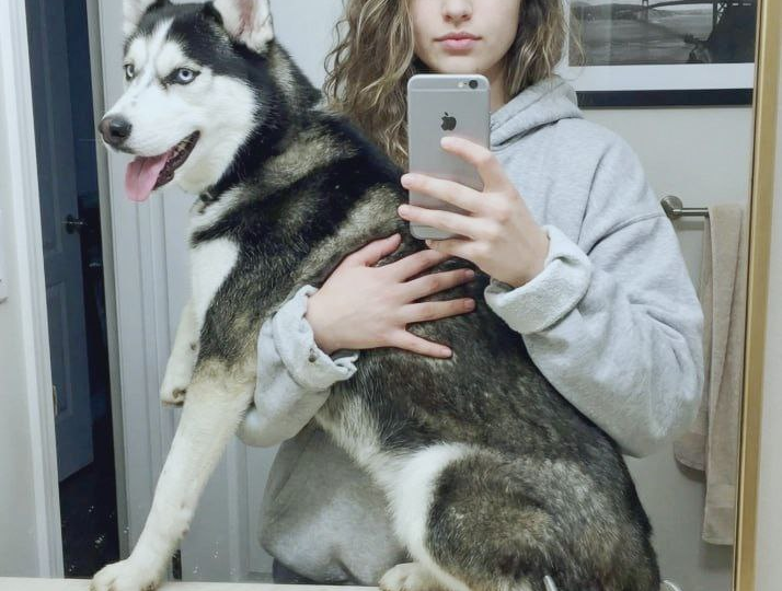 15 минут этих игр заменят час беготни: как вымотать собаку, не выходя из комнаты