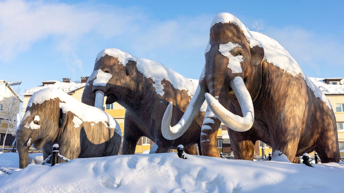    Фото: Федор Воронов / «Ямал-Медиа»