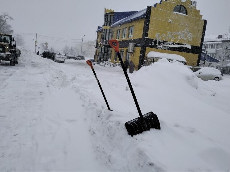    Фото: МК на Сахалине