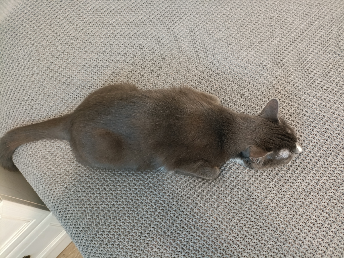 Вот как так можно спать? 