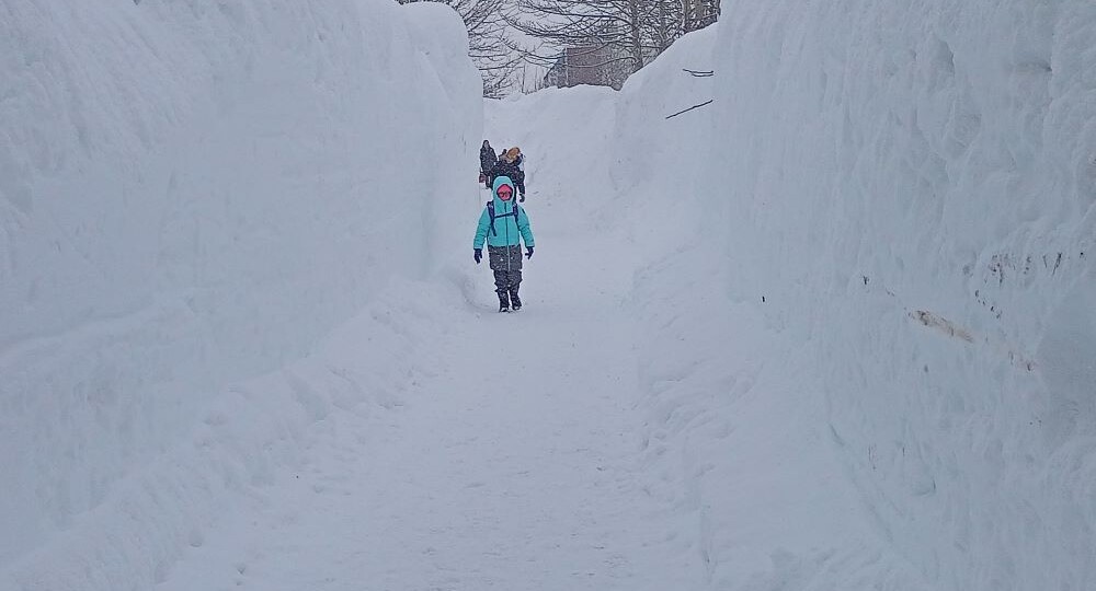 ЗИМНИЕ ЗАБАВЫ