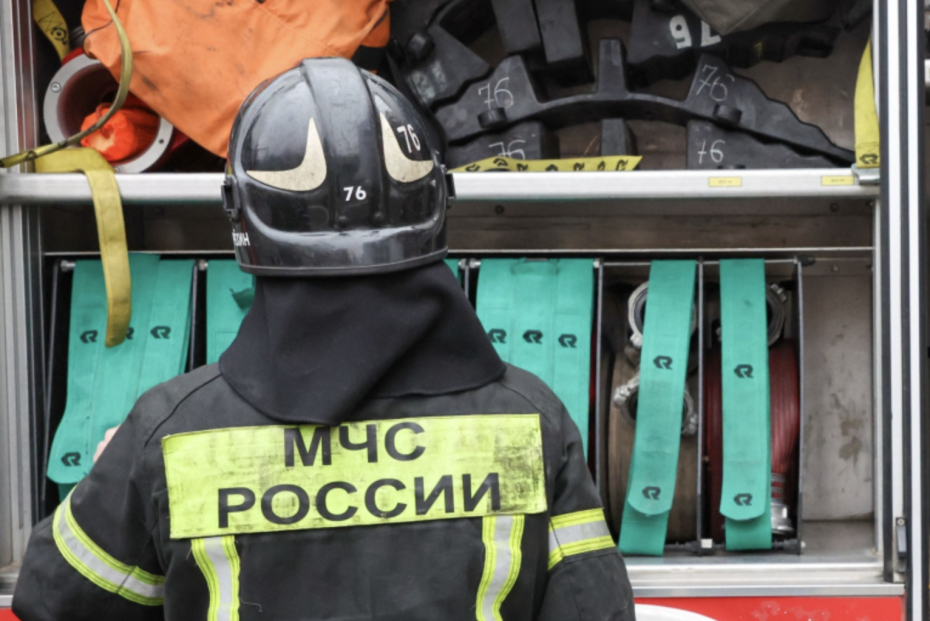    Алексей Белкин/NEWS.ru