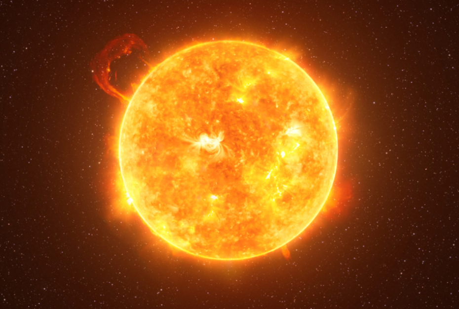    Shutterstock/FOTODOM