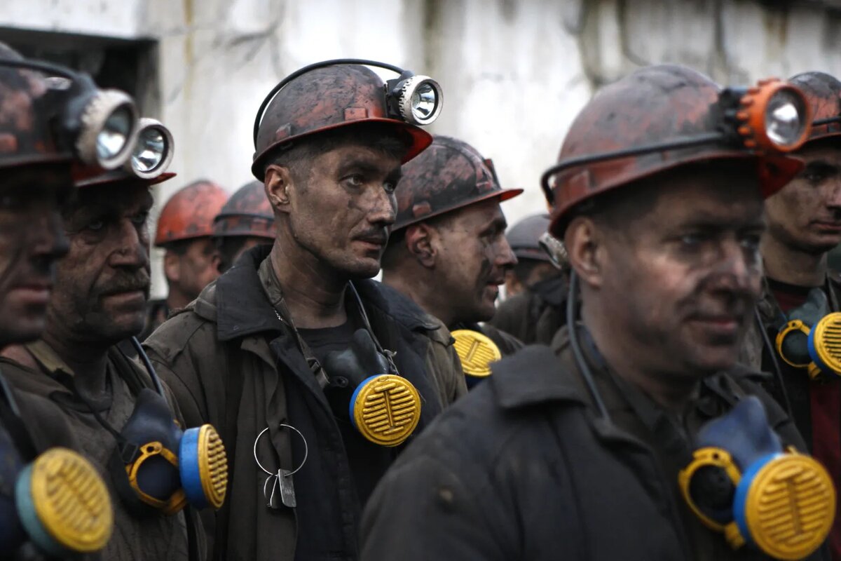 Фото из открытого источника Яндекс 