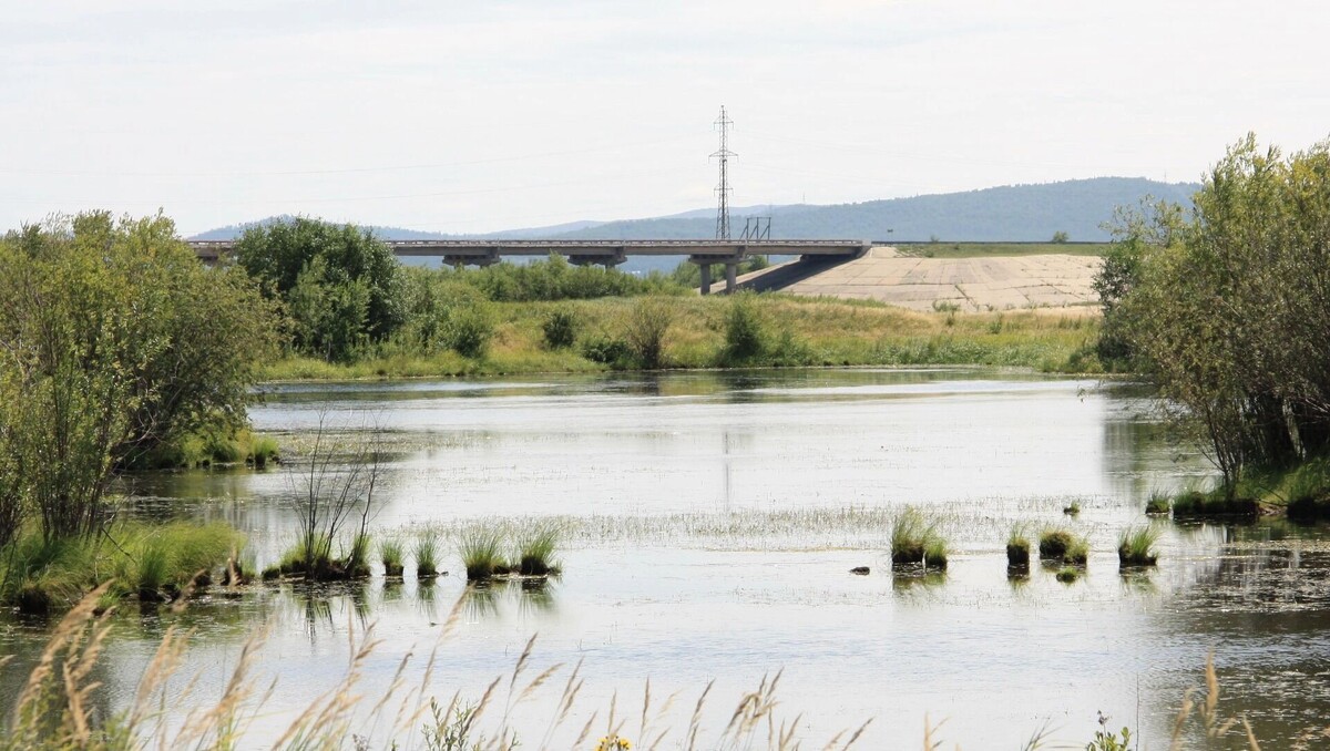    Мост через оз. Мылка   Руслан Богуславский