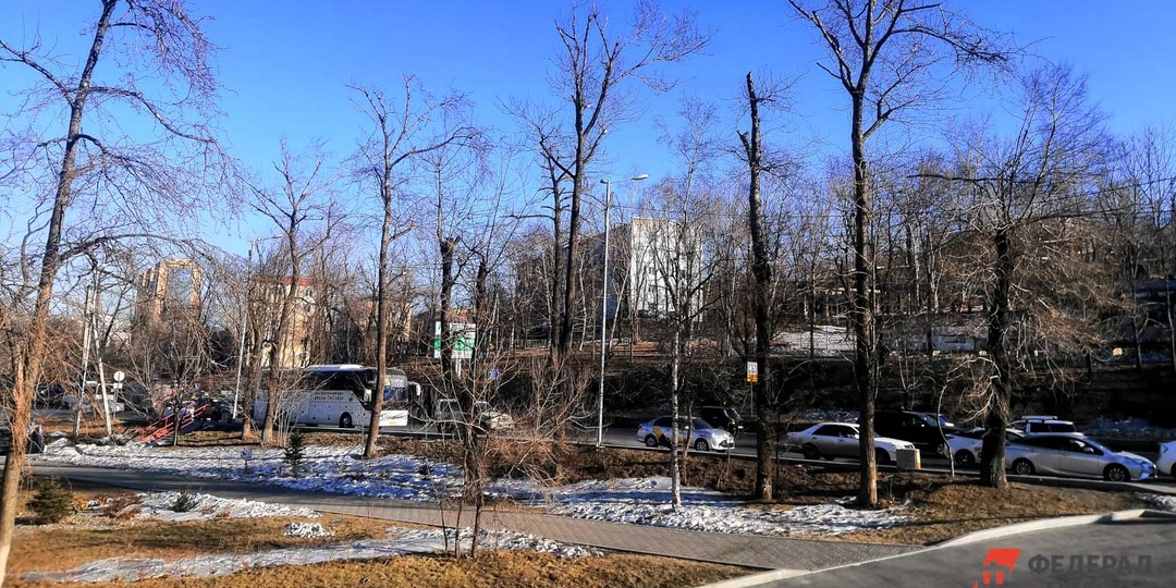 Морозы отступают: стало известно, когда в Приморье начнется метеорологическая весна