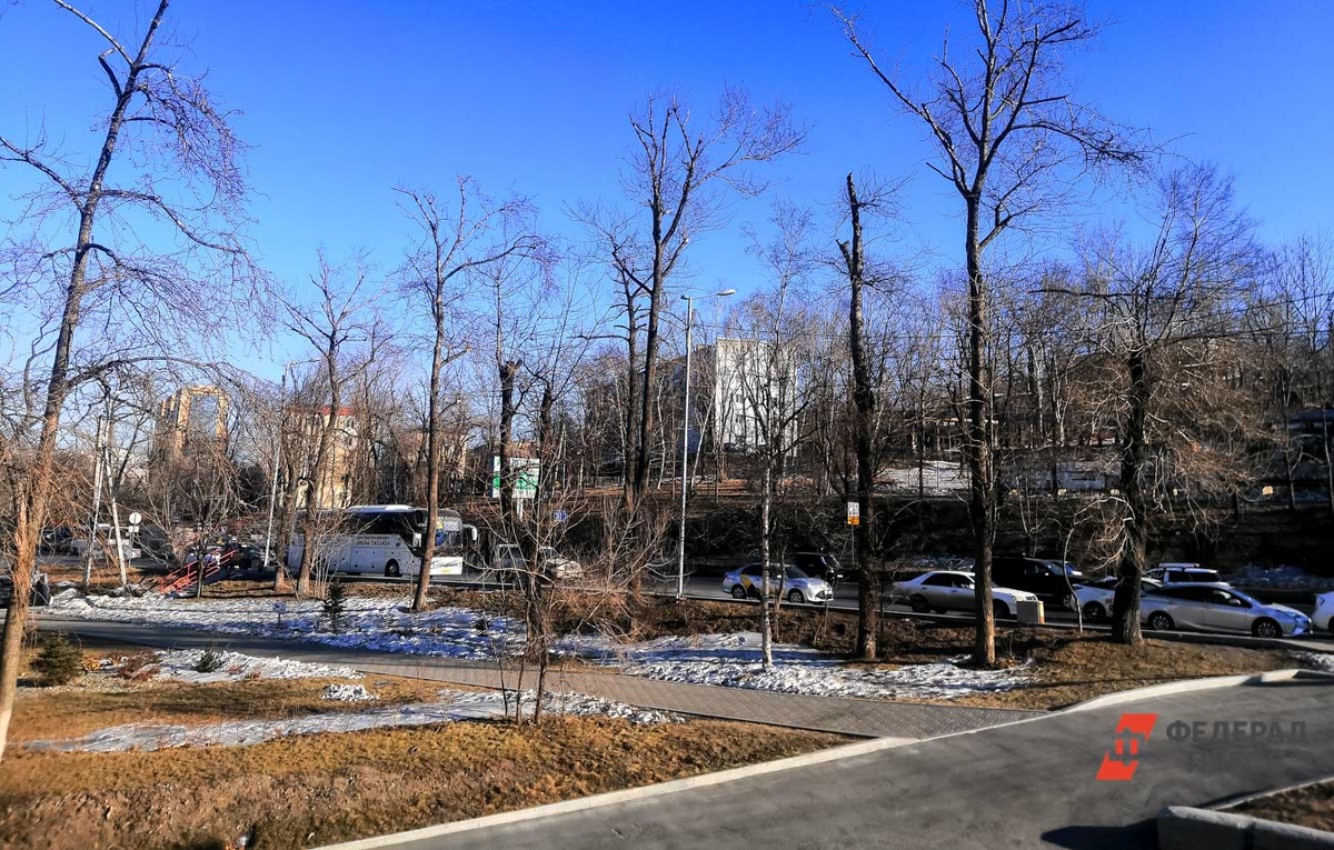 Резкие температурные качели ожидают жителей региона на неделе.  Фото: Фото: ФедералПресс / Анна Миронова