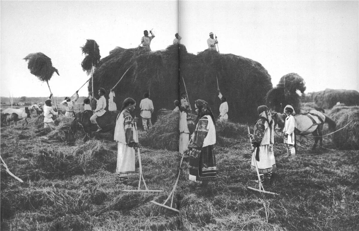 Взято из открытых источников интернета Яндекс.