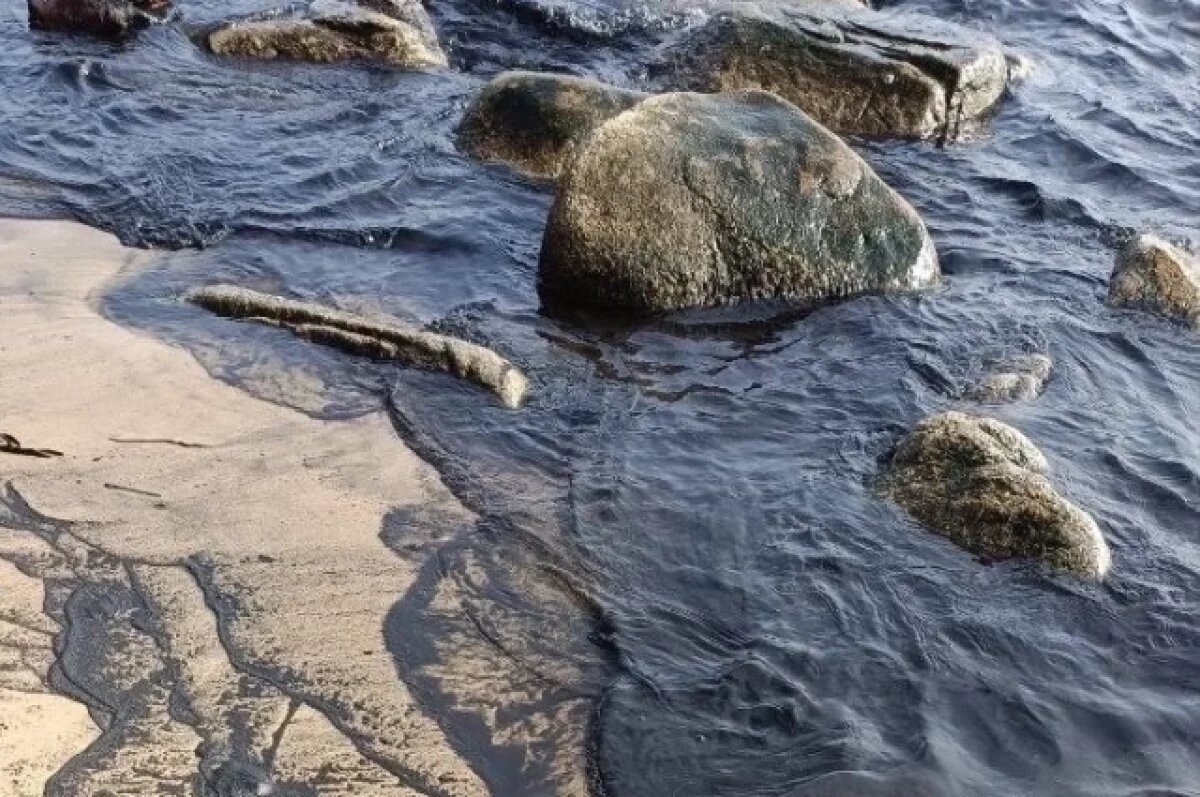    «Просто ужас»: люди в шоке от вида моря в популярной бухте под Находкой