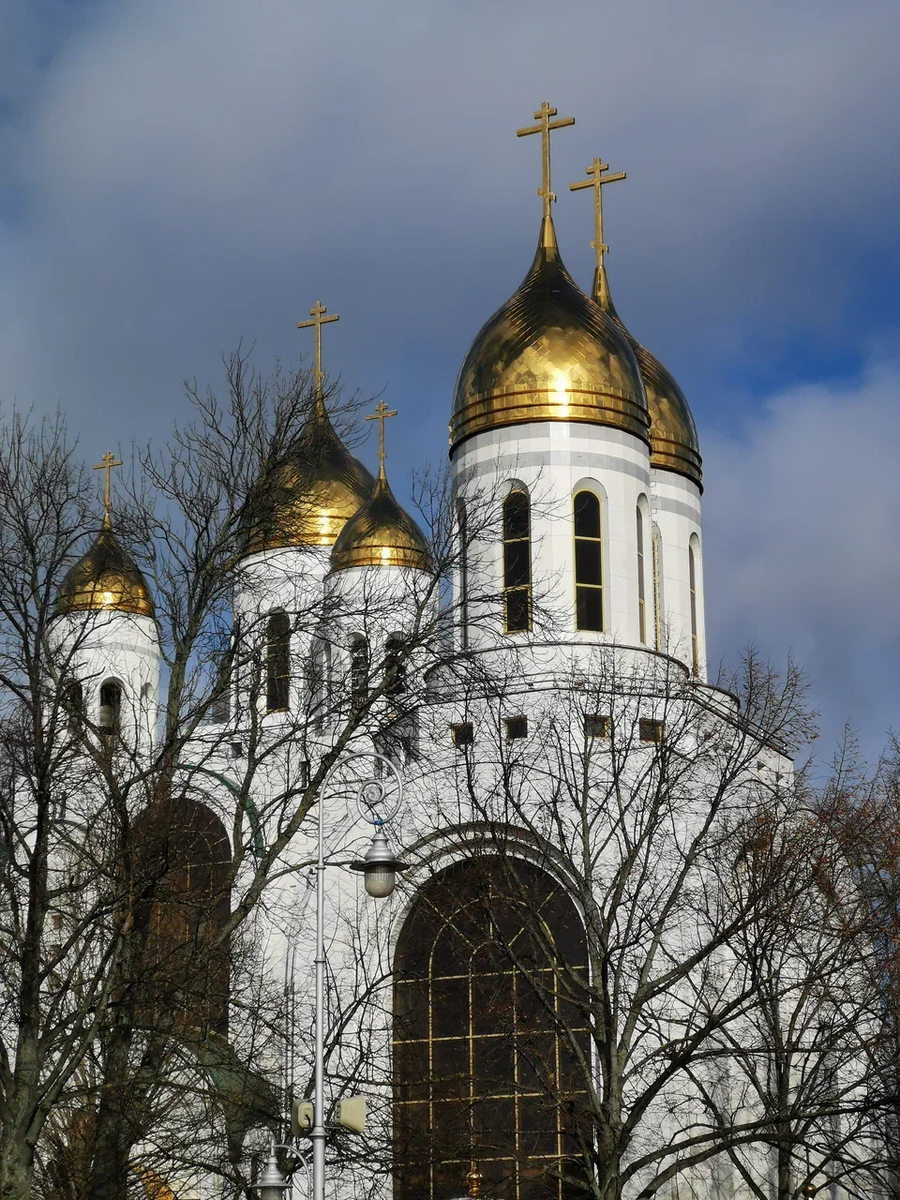 Фото: Вдумчивый сибиряк